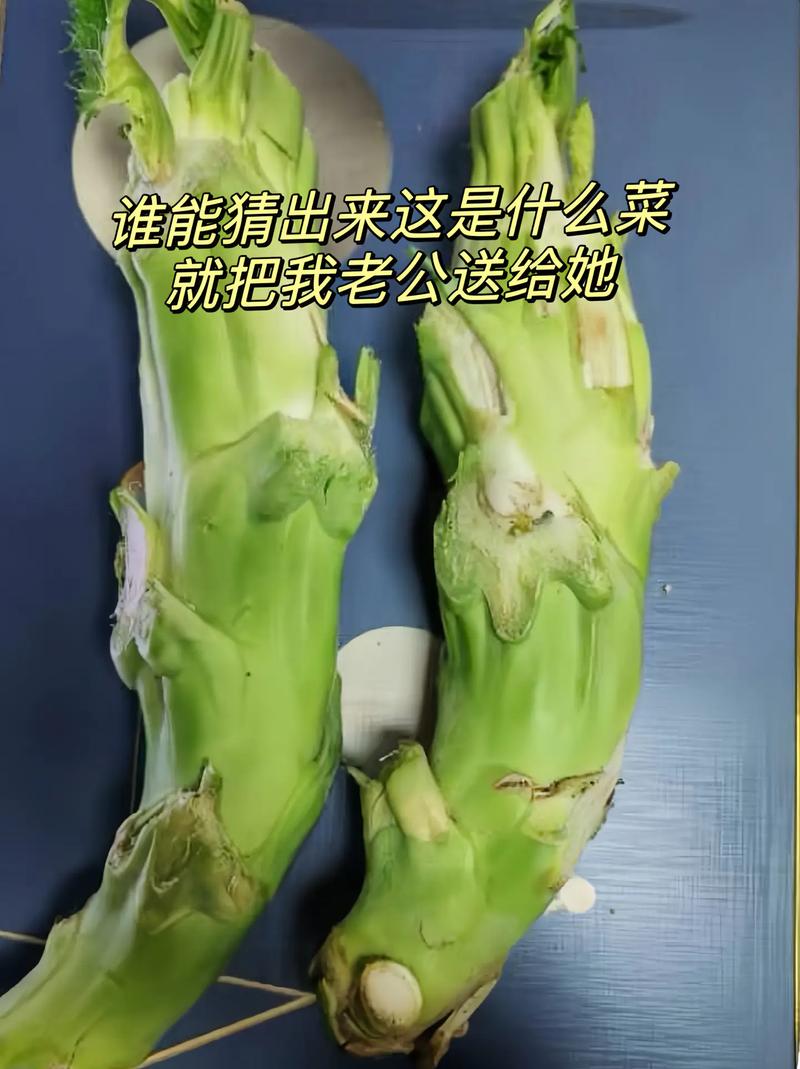 人人都吃过，世上没处买，你若猜不出，回去问奶奶。 （打一食物）  第1张