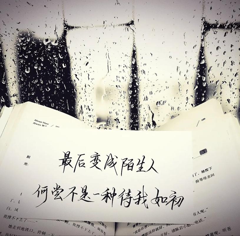 你永远不会爱我,每一次想你,我都得提醒我自己 第1张 你永远不会爱我,每一次想你,我都得提醒我自己 第1张
