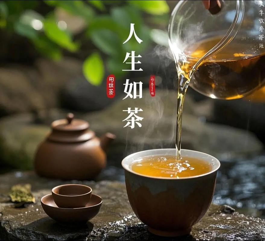 茶语丨人生如茶,淡然自若,与世无争 第1张 茶语丨人生如茶,淡然自若,与世无争 第1张