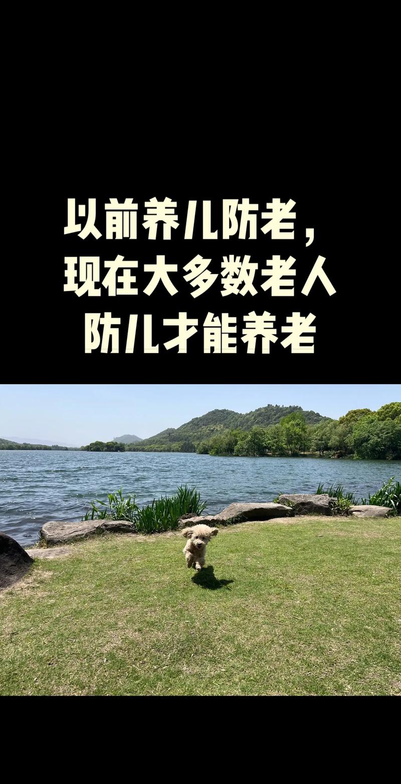 养儿防老,积谷防饥,养不教,父之过。 第1张 养儿防老,积谷防饥,养不教,父之过。 第1张