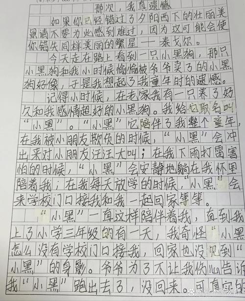 说说你学生时代最遗憾的一件事  第1张
