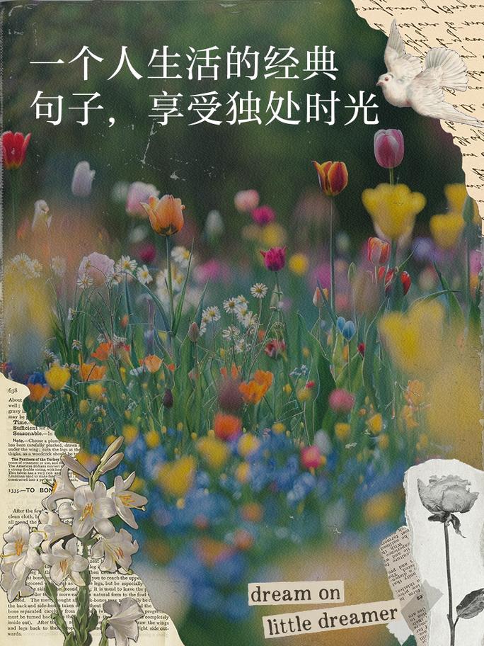 唯美短句语录:有人说,独处是美,沉默是金,在生命的进程中…… 第1张 唯美短句语录:有人说,独处是美,沉默是金,在生命的进程中…… 第1张
