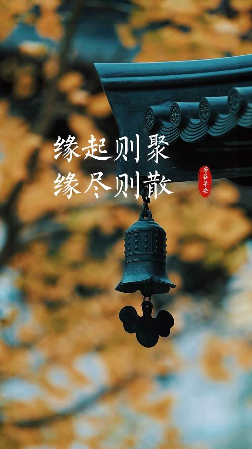 缘分天注定，聚散不由人  第1张