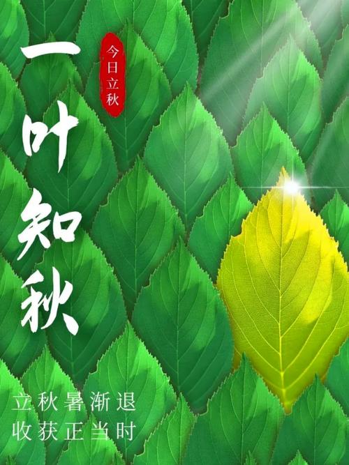 夏未尽,秋已至,一夜新凉,一骑秋风 第1张 夏未尽,秋已至,一夜新凉,一骑秋风 第1张