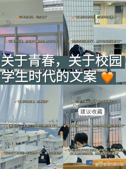 近期一眼封神的校园青春文案 第1张 近期一眼封神的校园青春文案 第1张