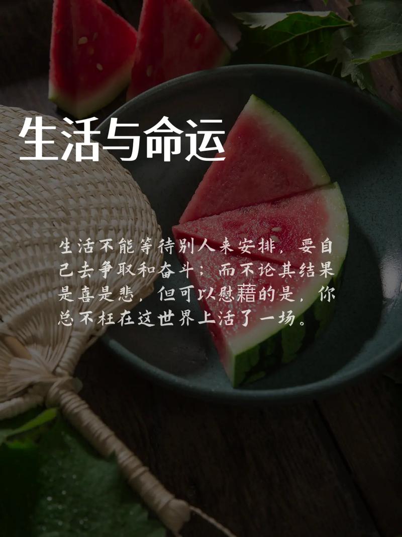 生活不会放弃你,命运不会抛弃你;如果耐不住寂寞,就看不到繁华 第1张 生活不会放弃你,命运不会抛弃你;如果耐不住寂寞,就看不到繁华 第1张