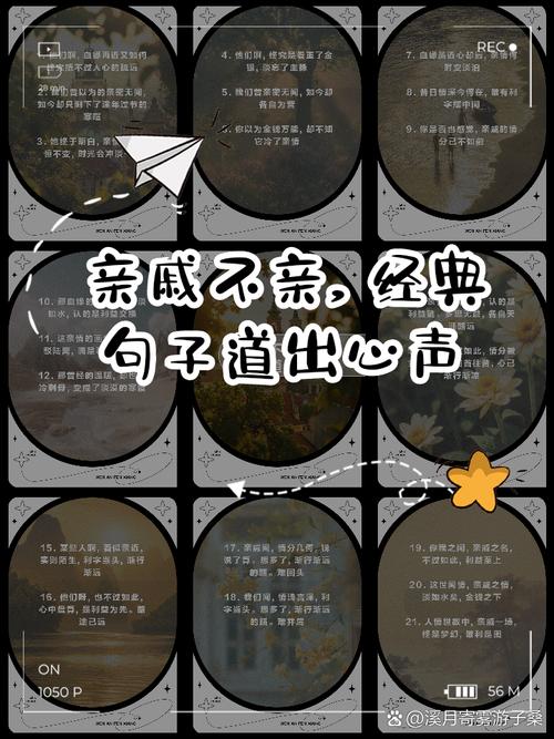 俗语远亲不如近邻,其实后面还有一句,那才是邻里关系的真谛 第1张 俗语远亲不如近邻,其实后面还有一句,那才是邻里关系的真谛 第1张