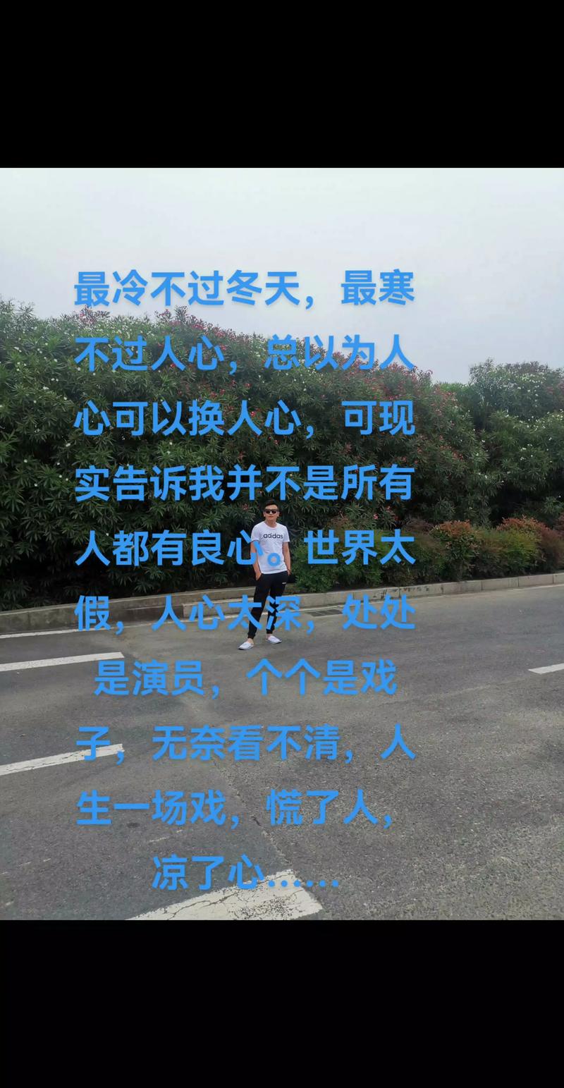 社会太乱人心太假说说 这城市太空人心太冷  第1张