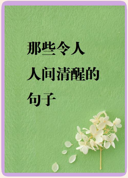 13句人间清醒的高级句子,治愈系文案,第9句发朋友圈特别美 第1张 13句人间清醒的高级句子,治愈系文案,第9句发朋友圈特别美 第1张