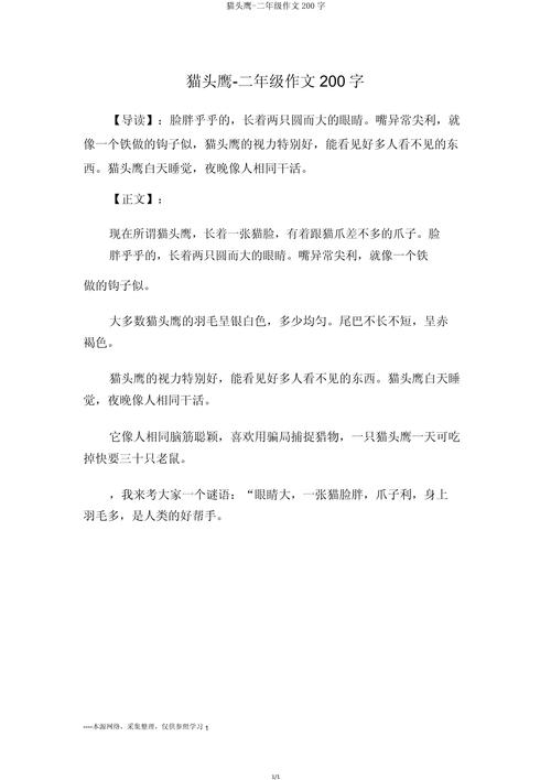 祖母的追星族 （打二字食品）  第1张