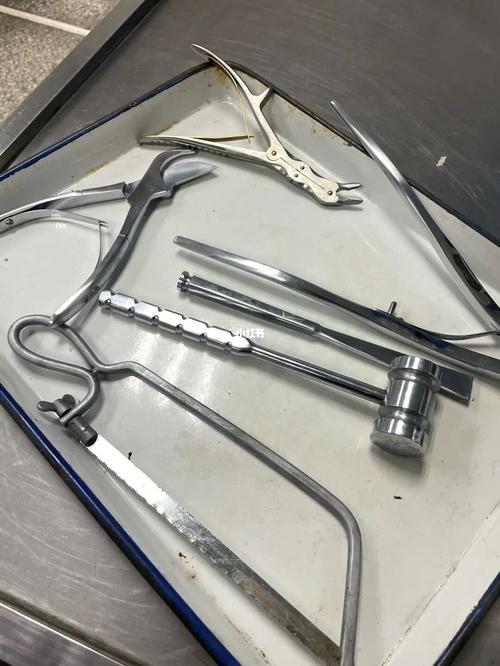 解剖 （打工具名一）  第1张