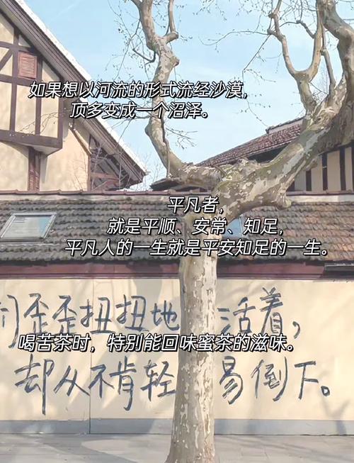人间至美是清欢 | 林清玄经典语录,句句美到落泪 第1张 人间至美是清欢 | 林清玄经典语录,句句美到落泪 第1张