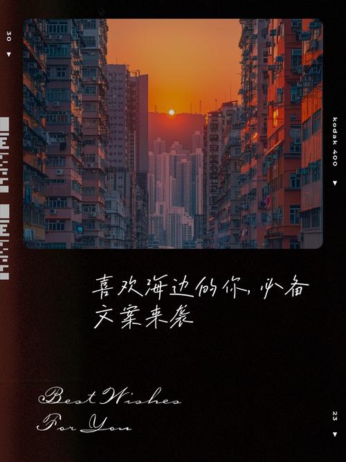 士说心语丨向海风许愿,与青春相见 第1张 士说心语丨向海风许愿,与青春相见 第1张