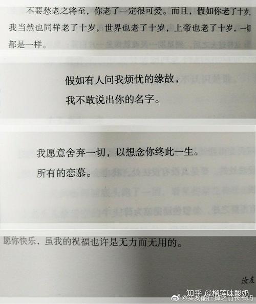 「美词佳句」盘点那些'不言情而情自深，不言伤却悲从中来'的歌词  第1张