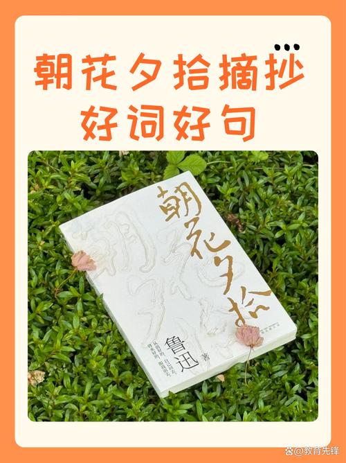 每日一本好书《朝花夕拾》经典作品 第1张 每日一本好书《朝花夕拾》经典作品 第1张