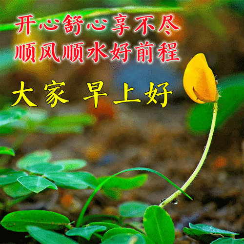 一来二去女宽心 （打一字）  第1张