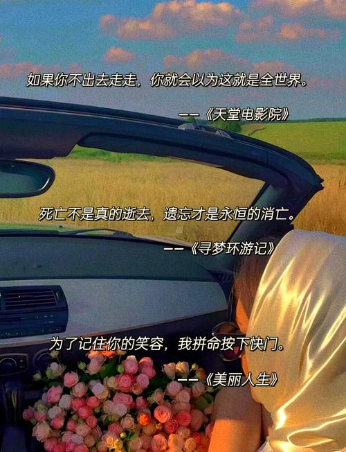 电影坚如磐石经典语录台词,电影坚如磐石励志的台词语录 第1张 电影坚如磐石经典语录台词,电影坚如磐石励志的台词语录 第1张