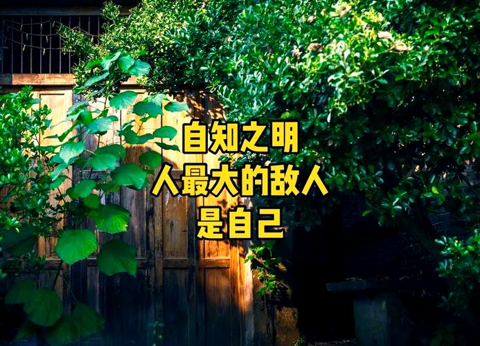 一直以为自己是淡口味的人。  第1张