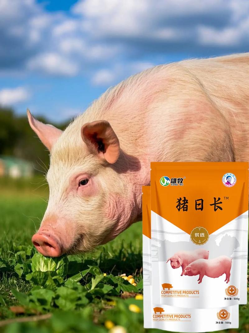 这些饲料可以提高猪的抗寒能力,冬季的时候喂最合适 第1张 这些饲料可以提高猪的抗寒能力,冬季的时候喂最合适 第1张