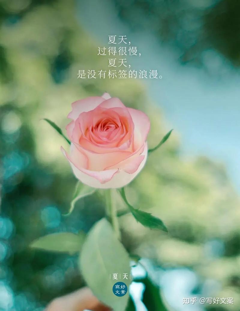 温暖妥帖,岁月静好。 第1张 温暖妥帖,岁月静好。 第1张