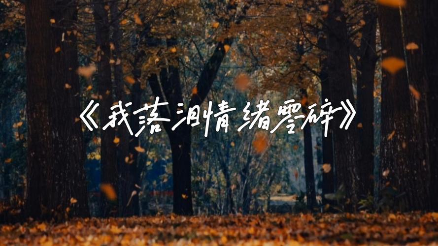 在没有眼泪可为那一片凄美落了。  第1张
