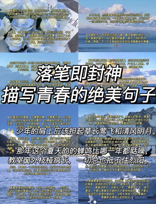 与青春有关的句子 第1张 与青春有关的句子 第1张
