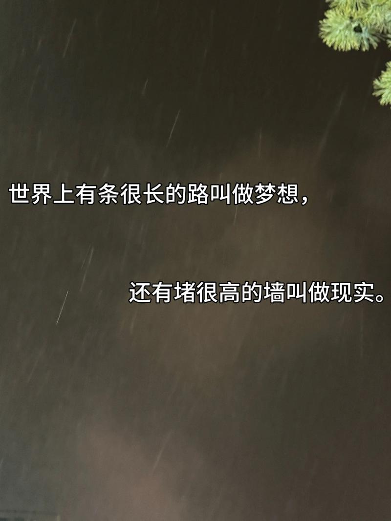 人生的道路上并不平坦,但只要心中有梦想,就永远不会迷失方向 第1张 人生的道路上并不平坦,但只要心中有梦想,就永远不会迷失方向 第1张