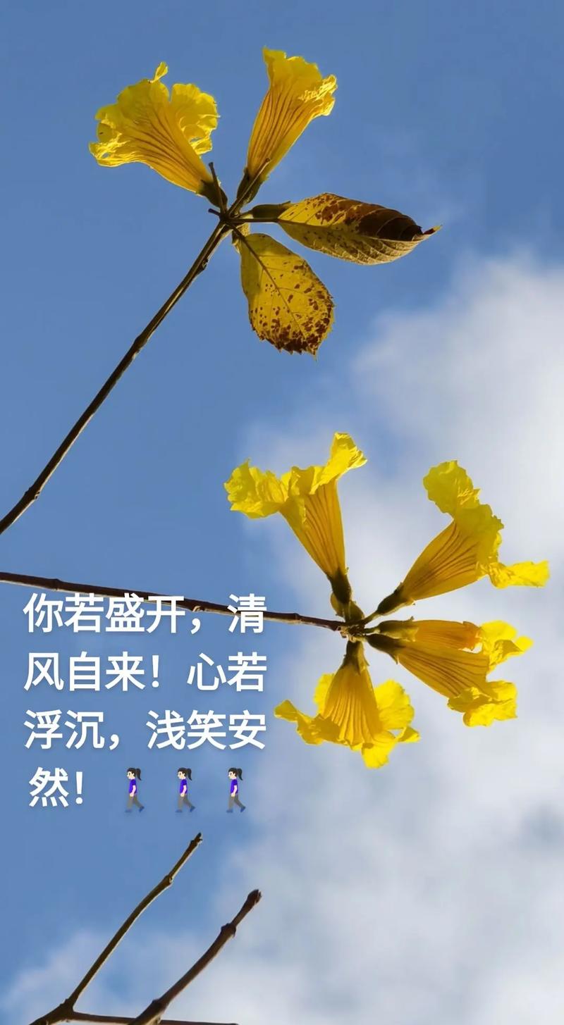 早读六首唯美诗词，心若向阳花自开，人若向暖清风来  第1张