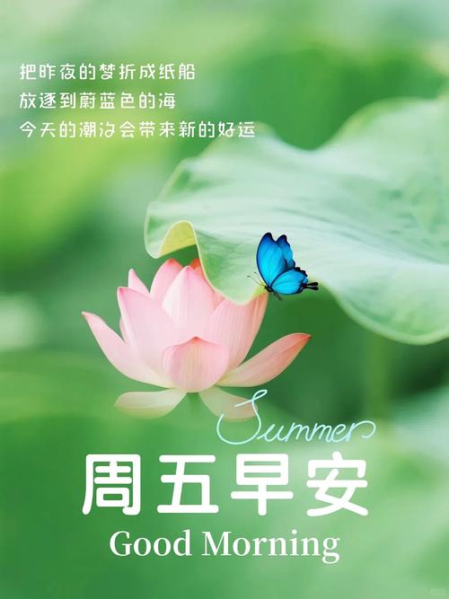 9月5日早上好问候语阳光句子 祝福朋友早安吉祥快乐微信说说文案 第1张 9月5日早上好问候语阳光句子 祝福朋友早安吉祥快乐微信说说文案 第1张