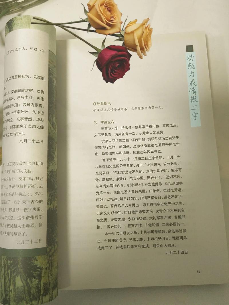 曾国藩家训十条 第1张 曾国藩家训十条 第1张