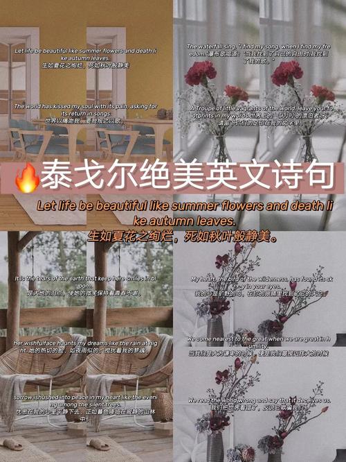 7首中外名人英文诗歌,值得收藏 第1张 7首中外名人英文诗歌,值得收藏 第1张