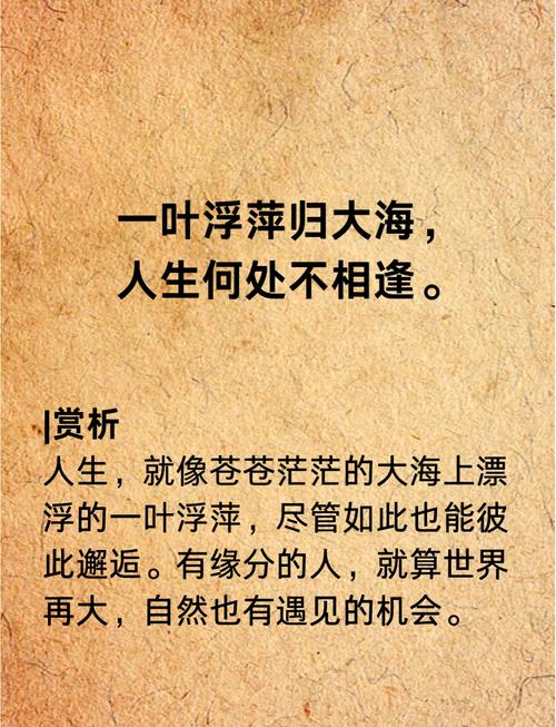 生活感悟，俗话说得好，人不可貌相，海水不可斗量，这...  第1张