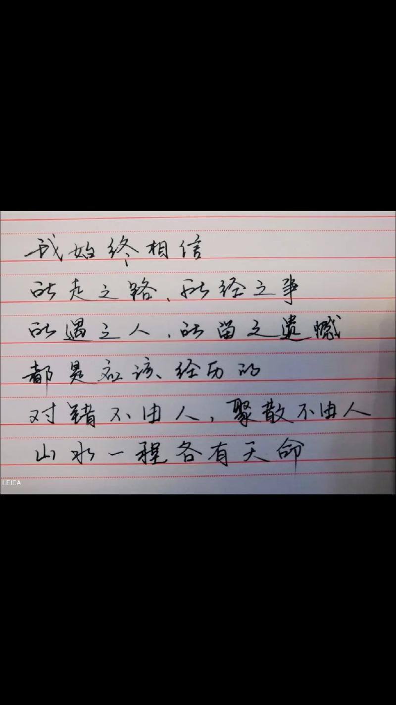 对错不由心,聚散不由人 第1张 对错不由心,聚散不由人 第1张