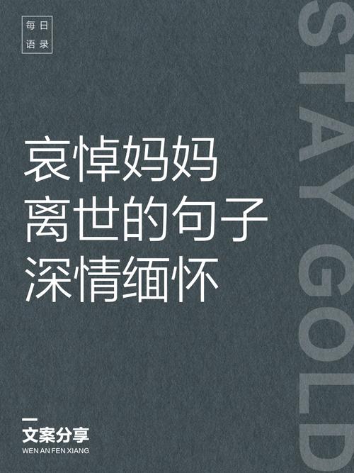 追悼我的母亲/平凡如何伟大 第1张 追悼我的母亲/平凡如何伟大 第1张