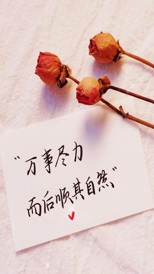 凡事顺其自然吧。 第1张 凡事顺其自然吧。 第1张