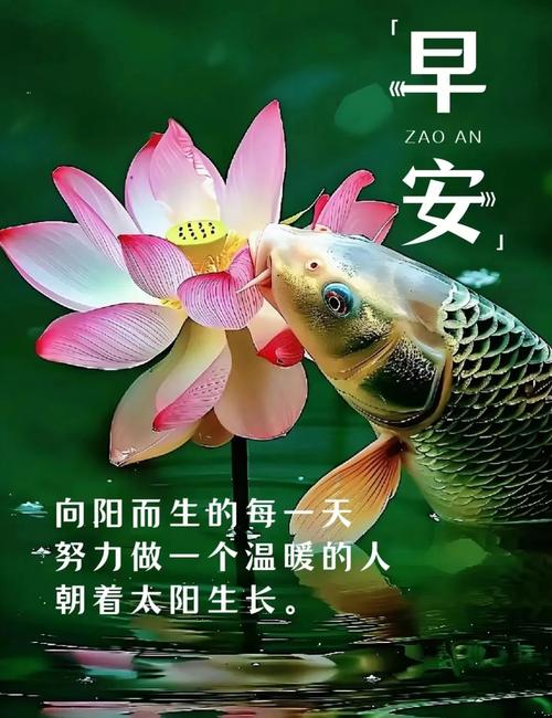 每一个清晨，给自己一个鼓励  第1张