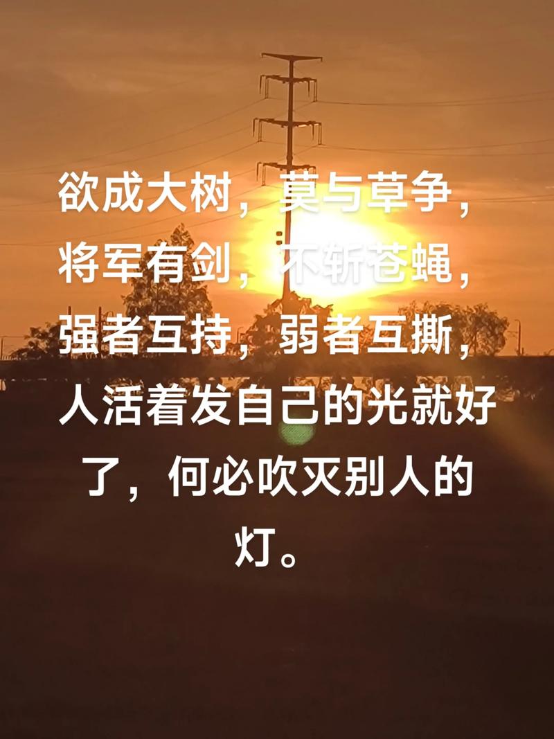 学会释怀,就是放过自己;人活着,发自己的光就好,不要吹灭别人的灯  第1张