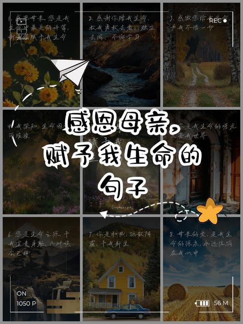 15个暖心短句感恩妈妈，让你的母亲节更温馨  第1张