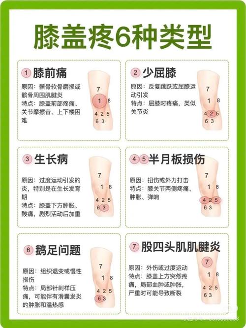 疼痛的解释 第1张 疼痛的解释 第1张