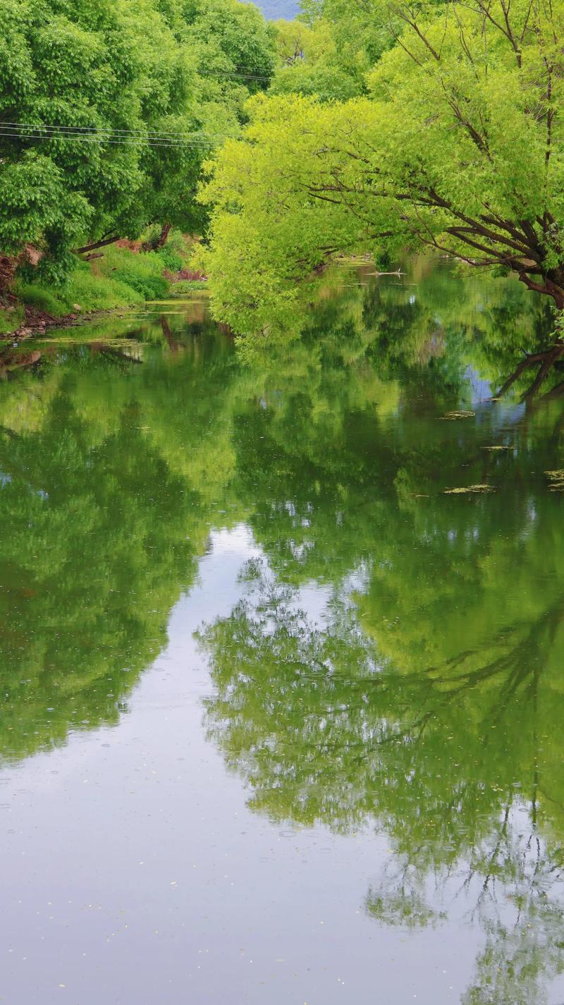 宁静的夏天 第1张 宁静的夏天 第1张