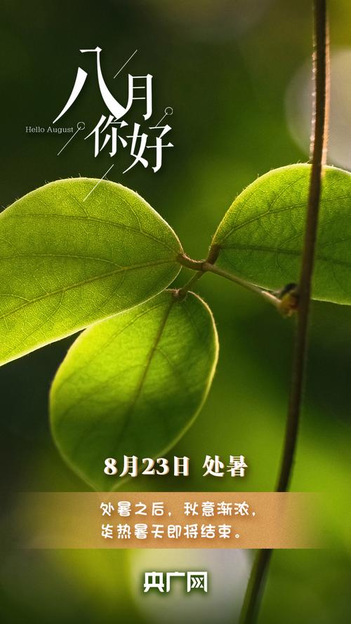 这个八月的意象是否真实? 第1张 这个八月的意象是否真实? 第1张