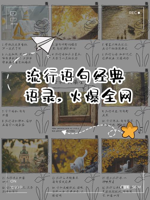 网络时尚潮句子,万里挑一,你见过几句? 第1张 网络时尚潮句子,万里挑一,你见过几句? 第1张