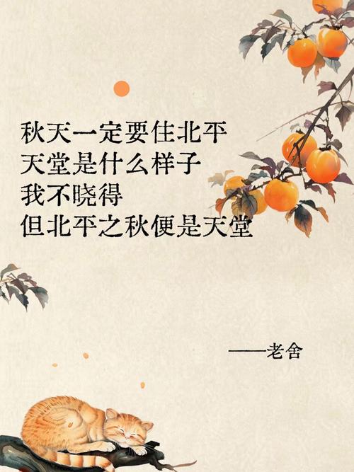 北京“秋雪”的故事 第1张 北京“秋雪”的故事 第1张