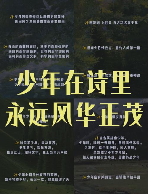 青春华章|青春,请回答 第1张 青春华章|青春,请回答 第1张
