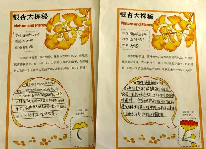 银杏树叶——讲述着秋天的童话 第1张 银杏树叶——讲述着秋天的童话 第1张