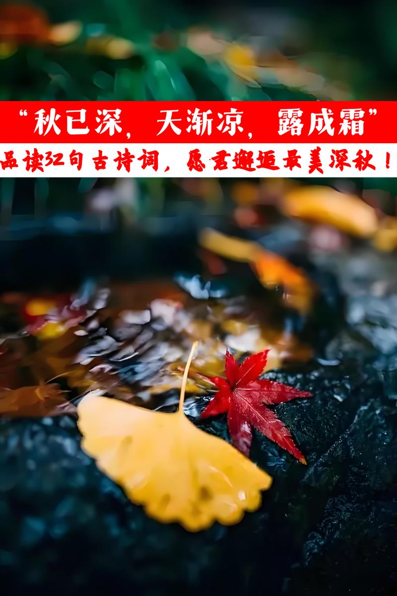 人间最美是清秋,在古诗词里,遇见最美的秋天 第1张 人间最美是清秋,在古诗词里,遇见最美的秋天 第1张