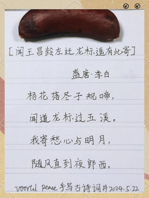 有心白首入仕途 （打一字）  第1张