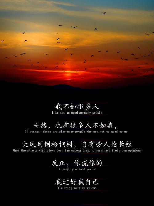 不温柔,不缠绵,不凄惨,不潇洒 第1张 不温柔,不缠绵,不凄惨,不潇洒 第1张