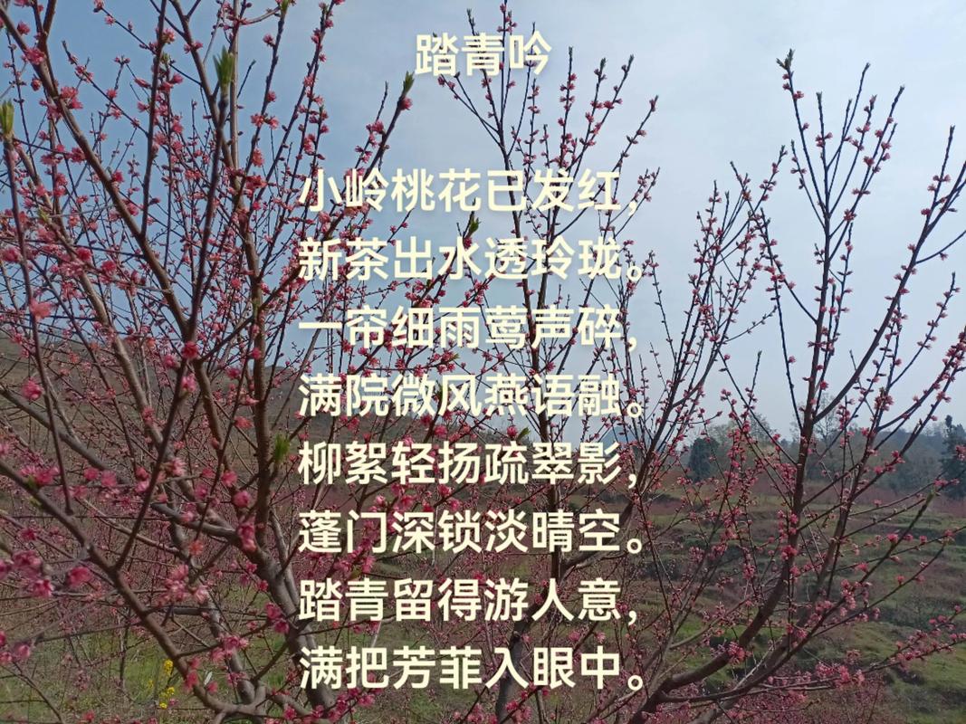 10首最美春风诗词，秀丽江山，田园如画，送你一场春暖花开  第1张