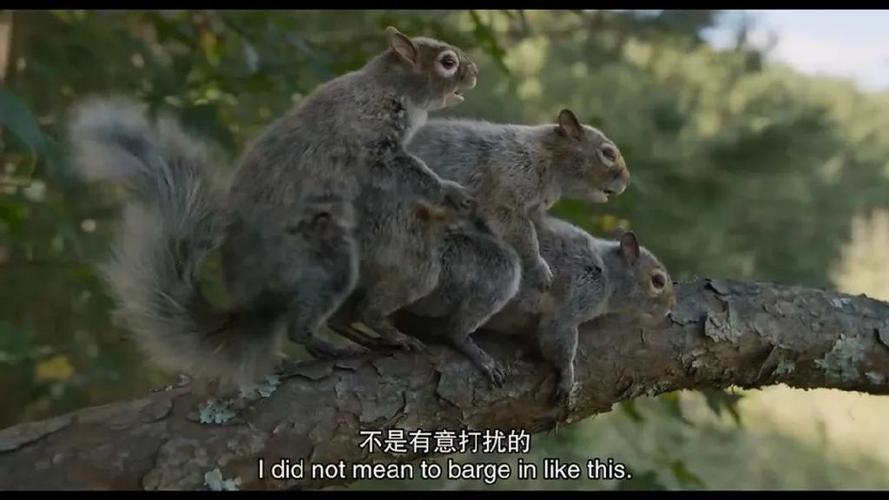 抱歉,美式政治隐喻最佳,已成了笑话 第1张 抱歉,美式政治隐喻最佳,已成了笑话 第1张